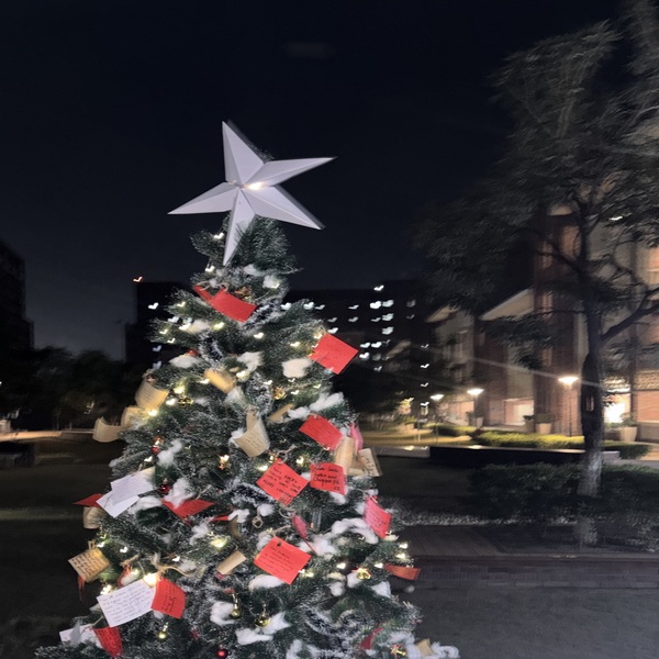 Christmas tree!